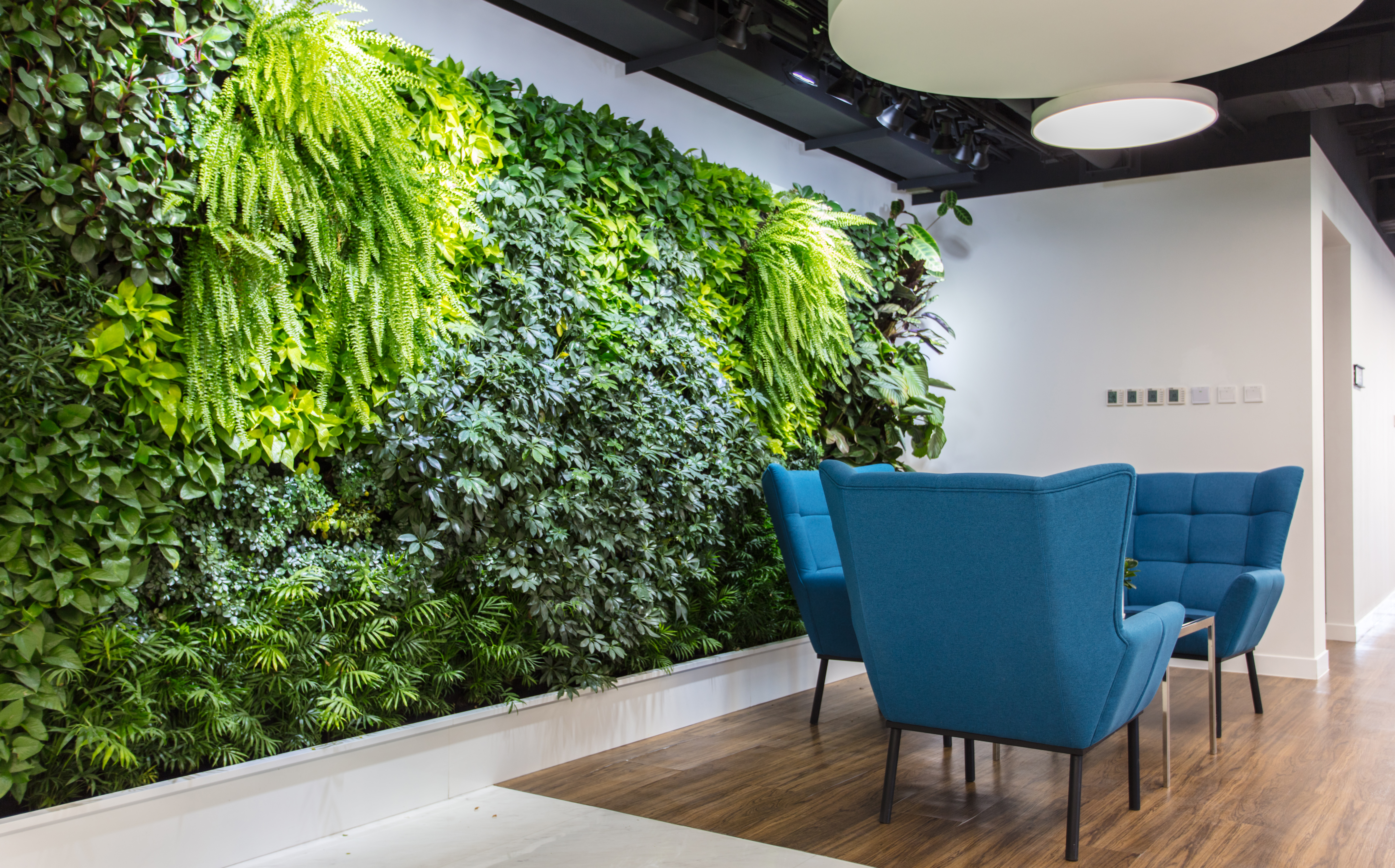 創業者メッセージ