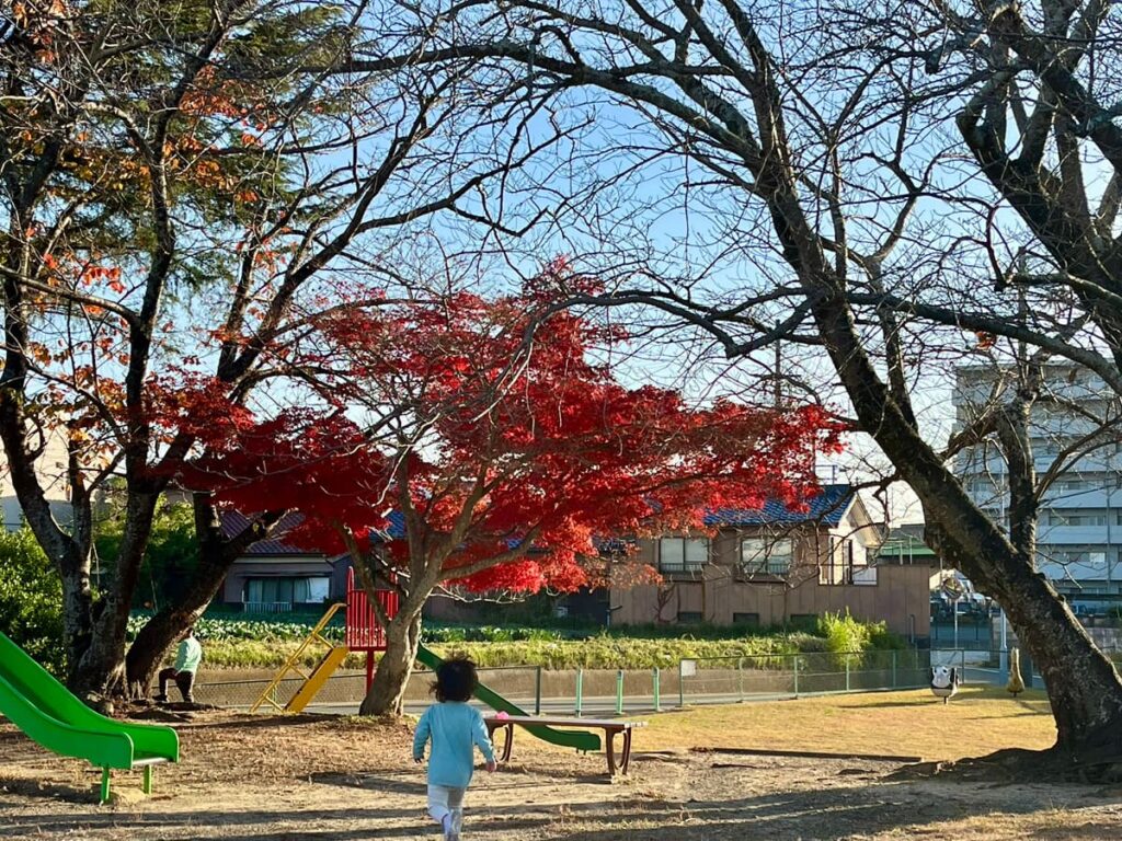 MSさんプライベート